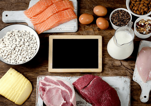 the importance of protein in weight loss
